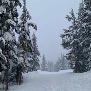 Meet your Posher, Ivan